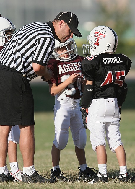 定军心的作 定军心的作