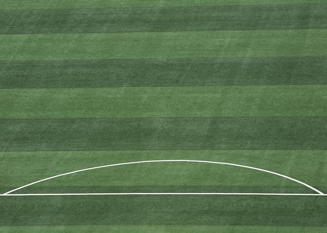 的拼搏精神 的拼搏精神