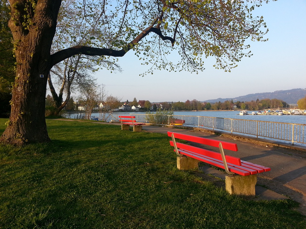 获胜奠定了 获胜奠定了