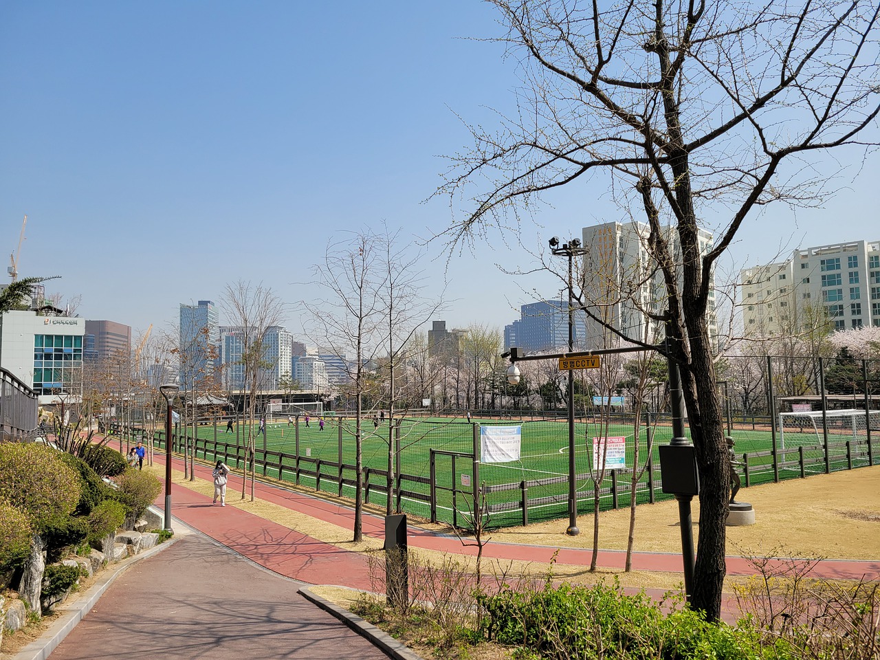 推动青少年 推动青少年