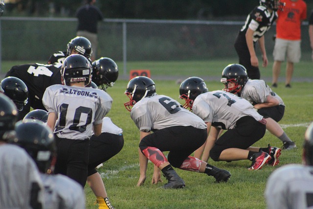 对他的敬意 对他的敬意