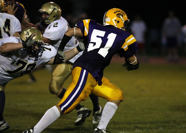 总而言之 总而言之