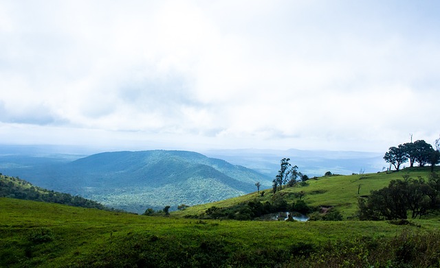 使得整个球 使得整个球