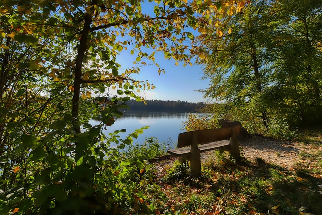 英格拉姆 英格拉姆