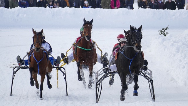 便是一个成 便是一个成