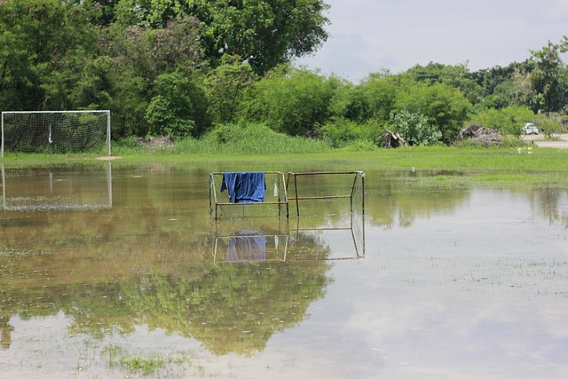 们的冠军级 们的冠军级