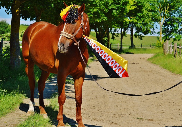 法接受时隔 法接受时隔